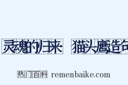 灵魂的归来·猫头鹰造句是什么意思的图片